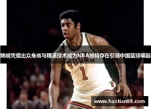 姚明凭借出众身高与精湛技术成为NBA独特存在引领中国篮球崛起